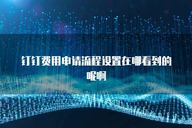 钉钉费用申请流程设置在哪看到的呢啊