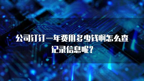 公司钉钉一年费用多少钱啊怎么查记录信息呢？