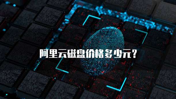 阿里云磁盘价格多少元?