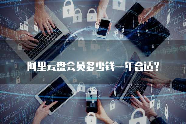 阿里云盘会员多少钱一年合适?