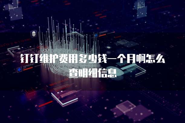 钉钉维护费用多少钱一个月啊怎么查明细信息