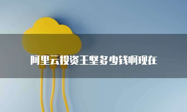 阿里云投资王坚多少钱啊现在