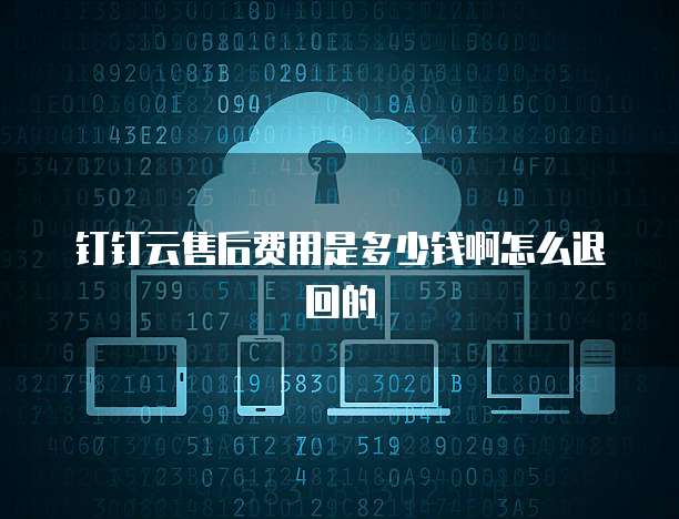 钉钉云售后费用是多少钱啊怎么退回的