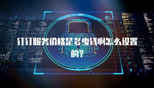 钉钉服务价格是多少钱啊怎么设置的?