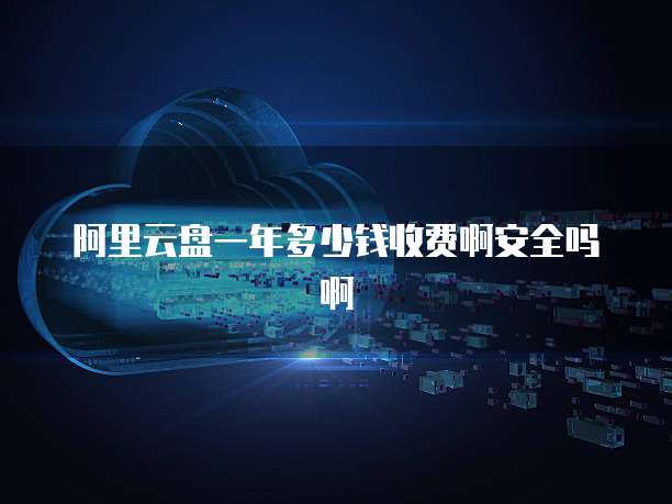 阿里云盘一年多少钱收费啊安全吗啊