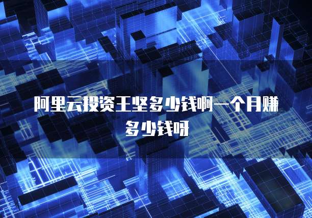 阿里云投资王坚多少钱啊一个月赚多少钱呀