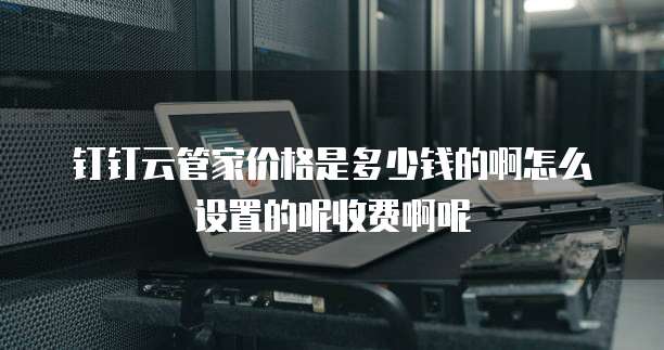 钉钉云管家价格是多少钱的啊怎么设置的呢收费啊呢