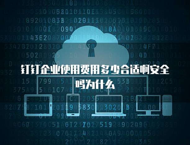 钉钉企业使用费用多少合适啊安全吗为什么