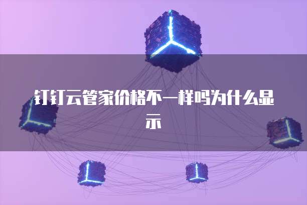 钉钉云管家价格不一样吗为什么显示
