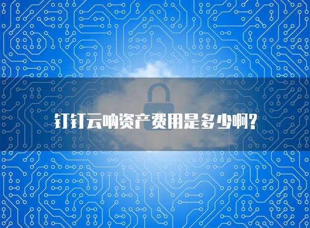 钉钉云呐资产费用是多少啊?