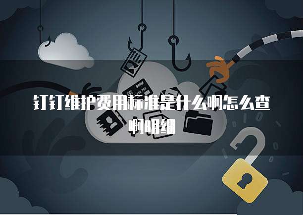 钉钉维护费用标准是什么啊怎么查啊明细