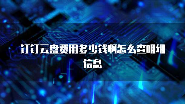 钉钉云盘费用多少钱啊怎么查明细信息