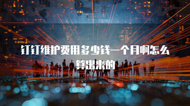 钉钉维护费用多少钱一个月啊怎么算出来的