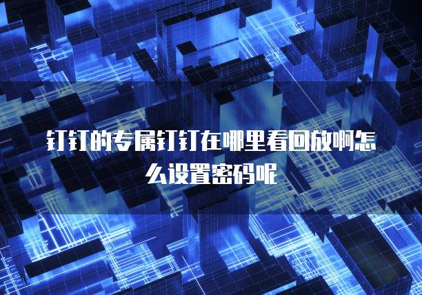 钉钉的专属钉钉在哪里看回放啊怎么设置密码呢