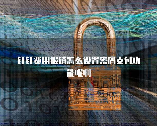 钉钉费用报销怎么设置密码支付功能呢啊