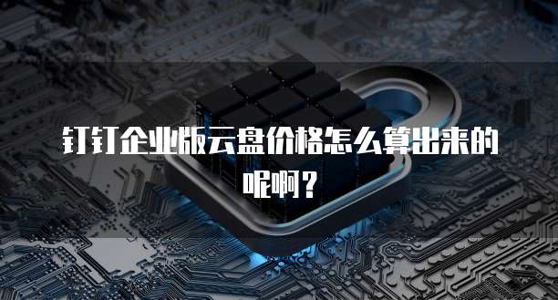 钉钉企业版云盘价格怎么算出来的呢啊?