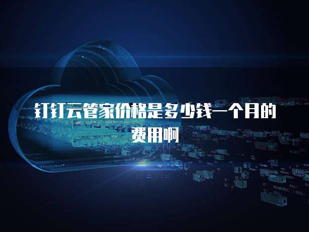 钉钉云管家价格是多少钱一个月的费用啊