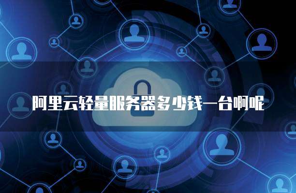 阿里云轻量服务器多少钱一台啊呢