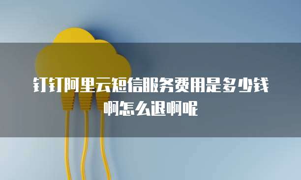 钉钉阿里云短信服务费用是多少钱啊怎么退啊呢