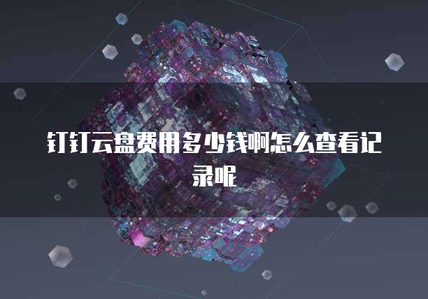 钉钉云盘费用多少钱啊怎么查看记录呢