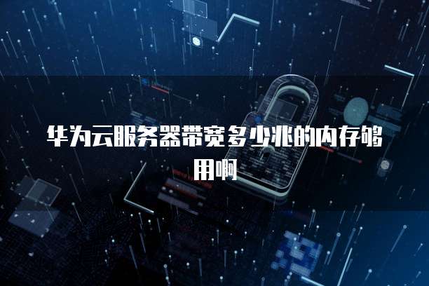 阿里云服务器哪种镜像好用一点啊