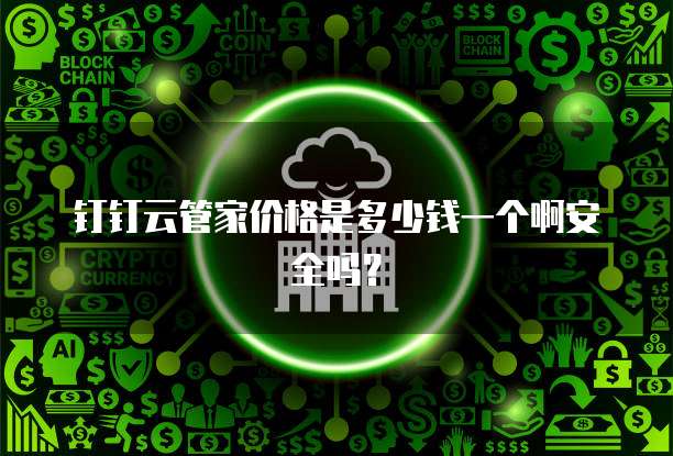钉钉云管家价格是多少钱一个啊安全吗?