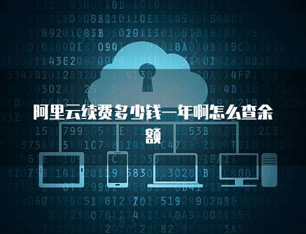 阿里云续费多少钱一年啊怎么查余额
