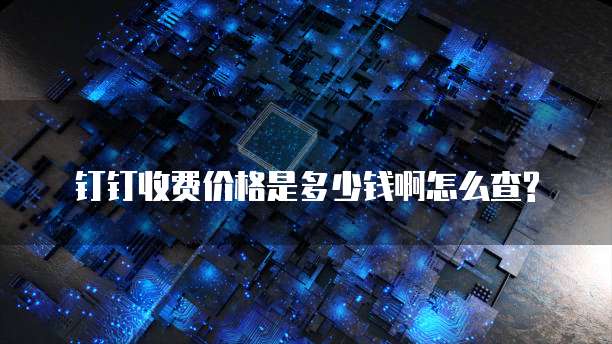 钉钉收费价格是多少钱啊怎么查?