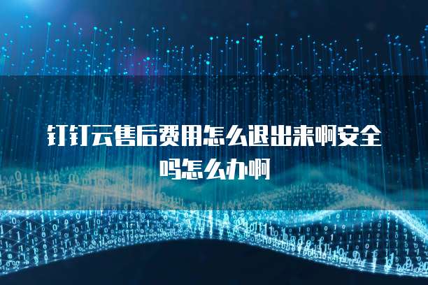钉钉云售后费用怎么退出来啊安全吗怎么办啊