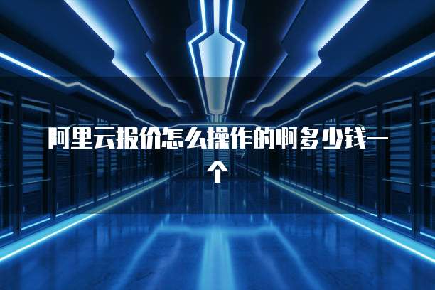 阿里云报价怎么操作的啊多少钱一个