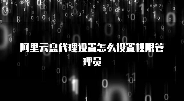 阿里云盘代理设置怎么设置权限管理员