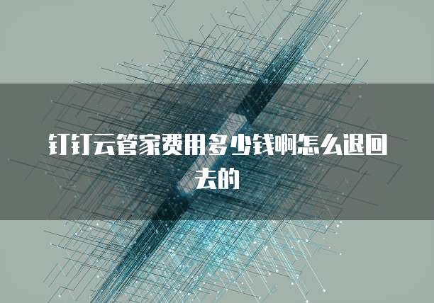 钉钉云管家费用多少钱啊怎么退回去的