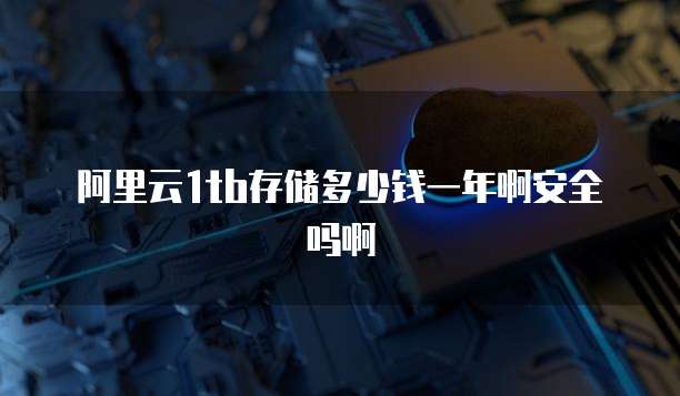 阿里云1tb存储多少钱一年啊安全吗啊
