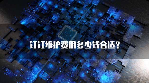 钉钉维护费用多少钱合适？