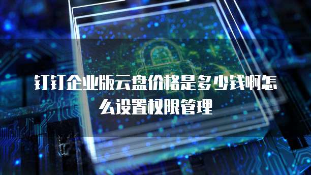 钉钉企业版云盘价格是多少钱啊怎么设置权限管理