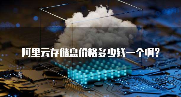阿里云存储盘价格多少钱一个啊?
