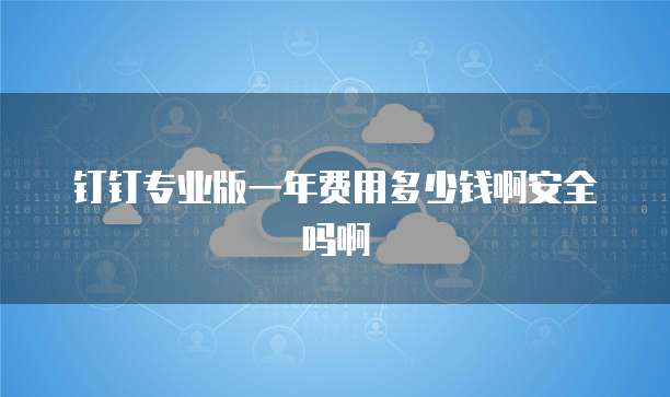 钉钉专业版一年费用多少钱啊安全吗啊