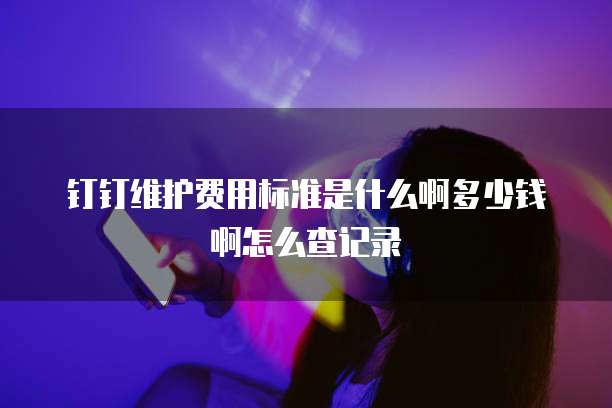 钉钉维护费用标准是什么啊多少钱啊怎么查记录