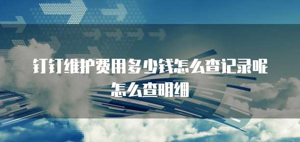 钉钉维护费用多少钱怎么查记录呢怎么查明细