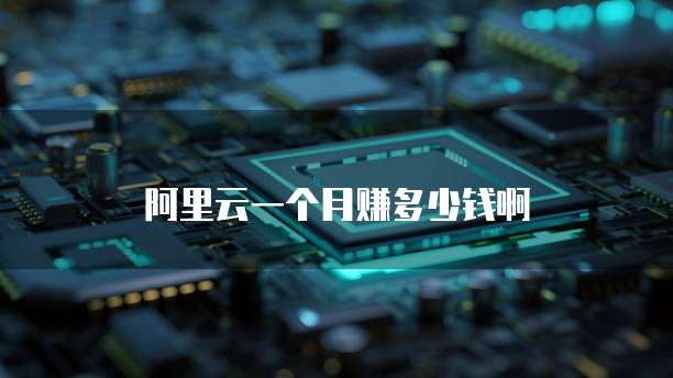 阿里云一个月赚多少钱啊