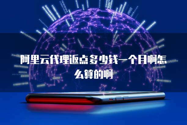 阿里云代理返点多少钱一个月啊怎么算的啊