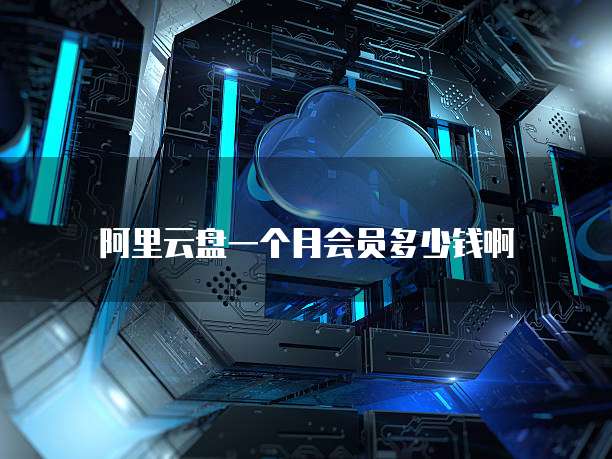 阿里云盘一个月会员多少钱啊