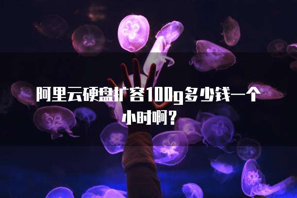 阿里云硬盘扩容100g多少钱一个小时啊？