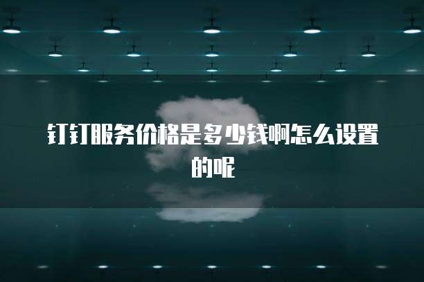 钉钉服务价格是多少钱啊怎么设置的呢