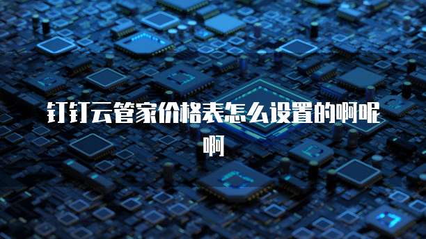 钉钉云管家价格表怎么设置的啊呢啊