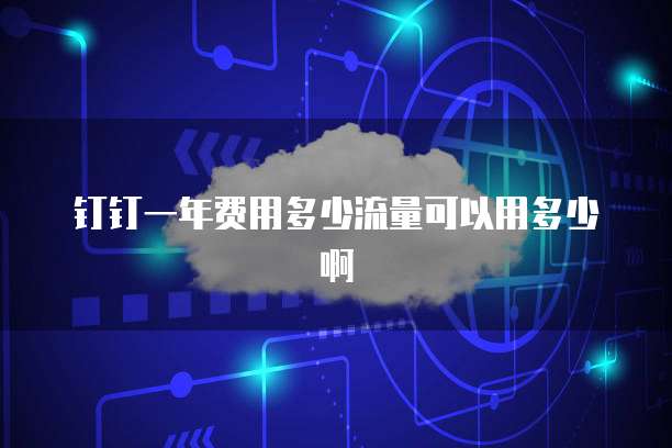 钉钉一年费用多少流量可以用多少啊