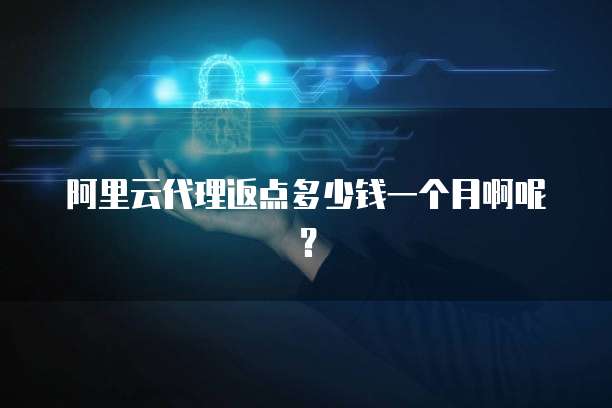 阿里云代理返点多少钱一个月啊呢?