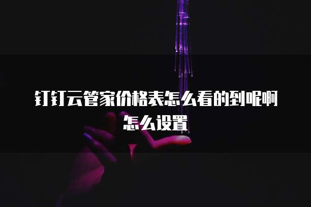 钉钉云管家价格表怎么看的到呢啊怎么设置