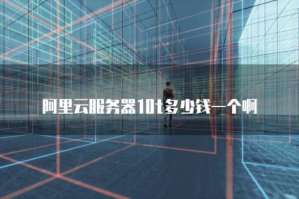 阿里云服务器10t多少钱一个啊