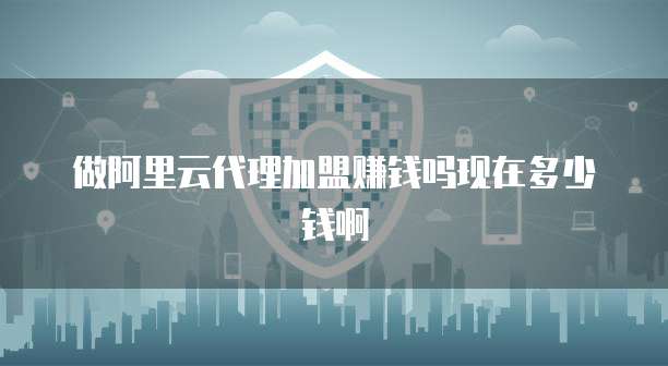 做阿里云代理加盟赚钱吗现在多少钱啊